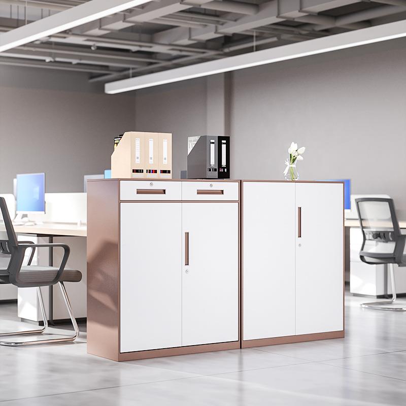 钢柜制纳办公套色文柜铁皮资料档件案凭证财XMR-27务收柜拆装储物