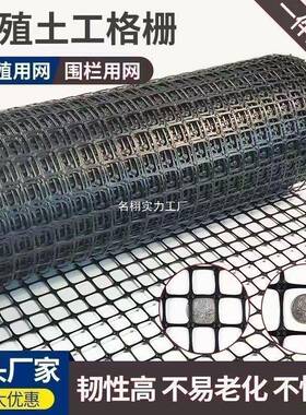 围栏鸡网果QEN塑园鸭鹅养鸡围栏养殖网网料玉米围网防护网养鸡网