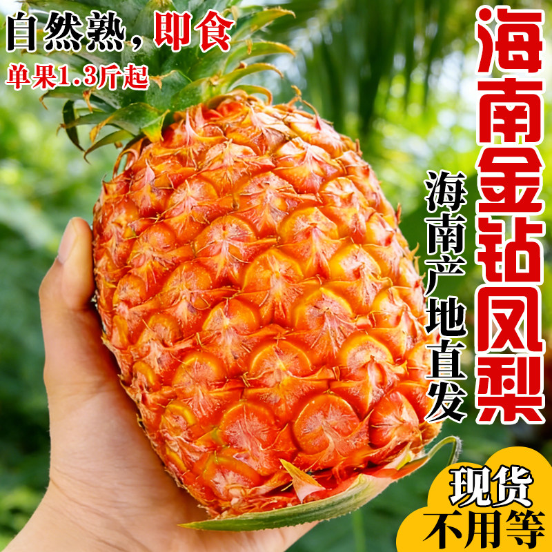 海南金钻凤梨新鲜水果树上熟香甜凤梨香水菠萝大果无眼整箱包邮
