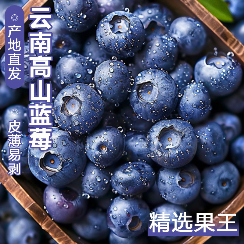 云南蓝莓鲜果特大礼盒当季高山L25花香新鲜水果孕妇怡颗蓝梅整箱