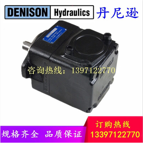 DENISON 丹尼逊 T6D 028/031/035/038 1R00/1R01/1R02/1R03 A1/B1