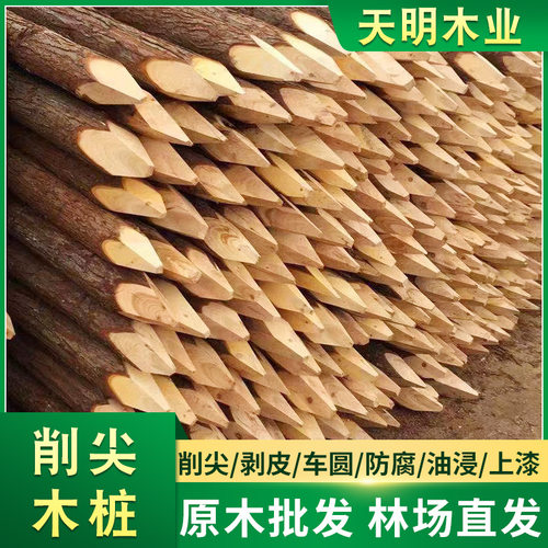 木桩 工地河堤杉木桩护坡防汛整治木桩原木打桩木园林绿化支撑杆