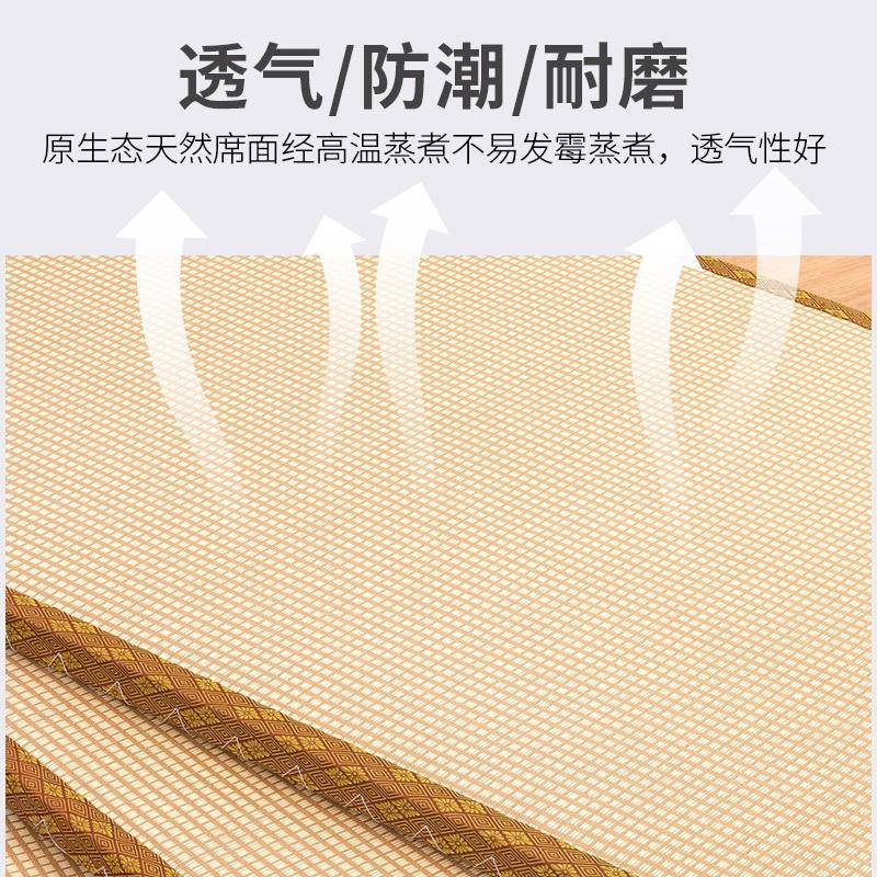 地垫榻榻米垫家用炕垫子电榻加热垫踏踏米可订式榻垫子椰棕日米塌