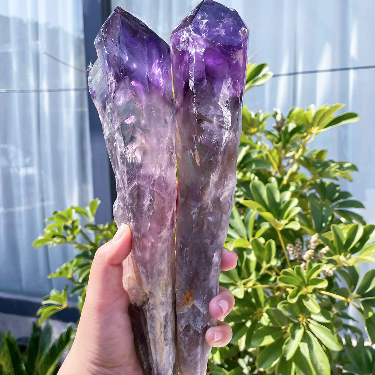 乌拉圭天然紫水晶权杖骸骨骨干紫水晶石权杖矿石水晶工艺品摆件