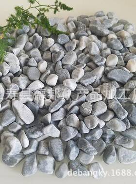 主磨石水石子透水地坪彩色石营子铺园林路842石子水洗五彩石