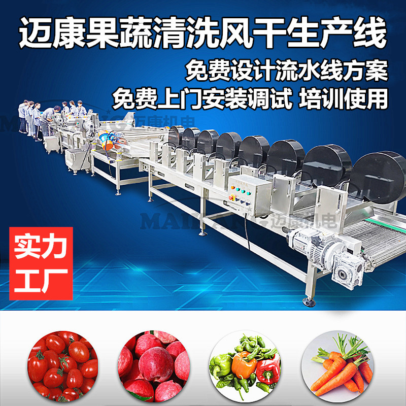 厂家生产葡萄清洗风干线 黑加仑清洗前处理设备 葡萄清洗榨汁设备