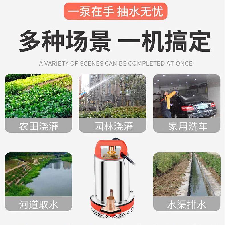 1489家直销12v直流电机厂水2泵4V8V60V72抽水机农用浇菜灌溉家4用