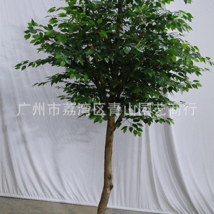 仿真树榕过胶真树杆假榕叶树室内外景观装饰景植物RS1-01仿真树大