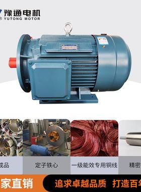 YE4三相步30V电机二0.875kw155~异375kw厂家直销全铜级能效