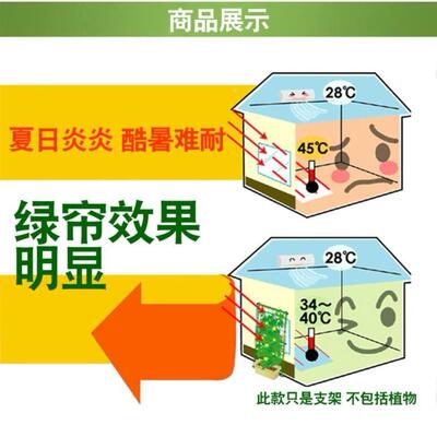 jt4I8eJe台爬藤支架杆萄月季藤架铁线莲花盆植物攀葡爬架阳园艺架