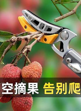 摘高枝剪果剪圆剪刀多功KBI能长伸缩果园采摘龙眼荔枝桂高空加摘