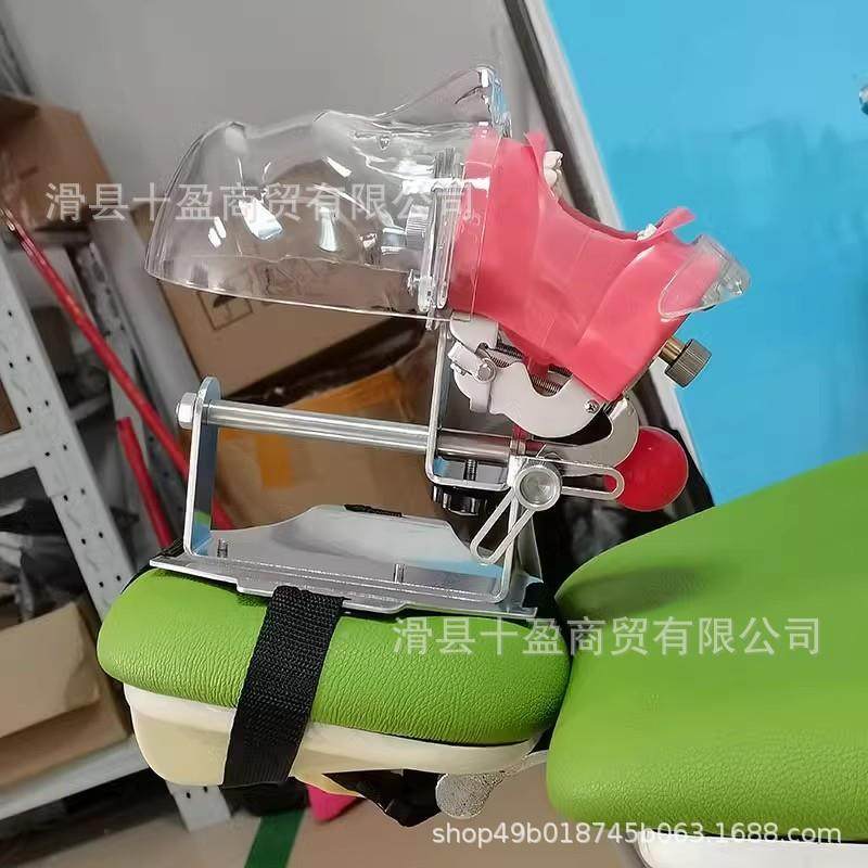 牙科真仿头学模备牙练习30733口腔头种植根管颅教牙模开髓模型教,文具电教/文化用品/商务用品,教学标本/模型,淘宝优惠券,粉丝福利购,淘宝优惠卷