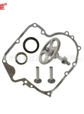 884002077YRO93880凸轮轴用于BS割5草机79388079358379261