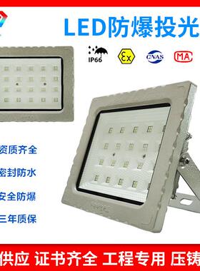 大理石灰色LED防爆灯免维护防爆加油站仓库车间化工厂投光灯