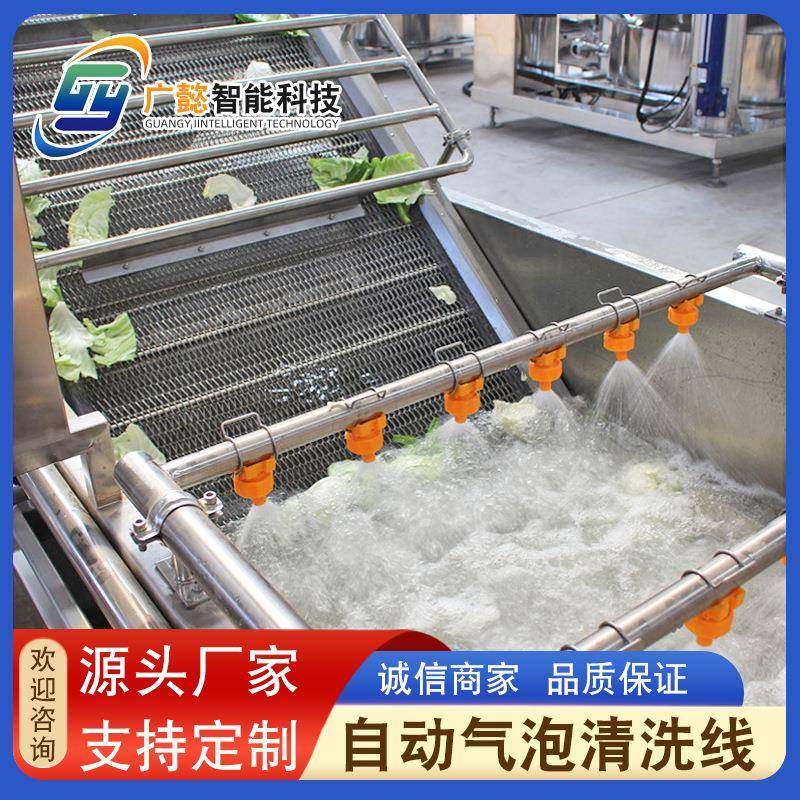 全自动大型果蔬气泡清洗机商用芸豆大枣高压喷淋式清洗流水线,纺织面料/辅料/配套,纺织机械配件,淘宝优惠券,粉丝福利购,淘宝优惠卷