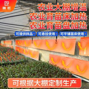 农业电热膜育苗床加热大棚冬季保温防冻害蔬菜大棚增温