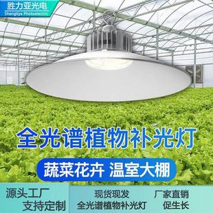 大棚植物专用补光灯室内家用蔬菜绿植月季兰花卉生长灯仿太阳光灯