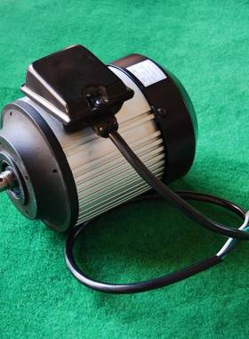 机源头工厂TDYL72114WY抛光机电20V试验仪LEZ器Y电机