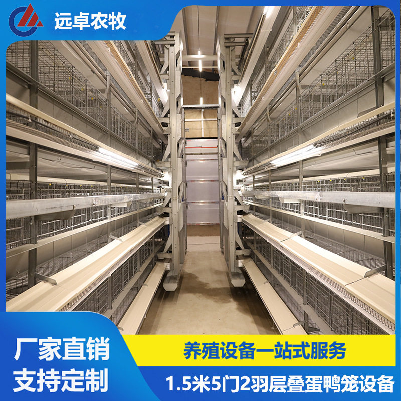 H型框架自动立体养殖_福建漳州四层叠蛋鸡养殖设备_自动捡蛋上料