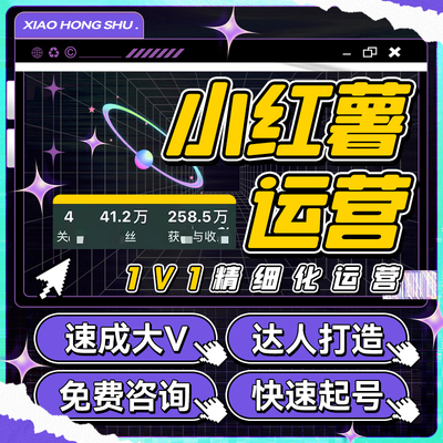 小红书品牌策划1V1指导合作小红薯xhs策划设计服务爆款文案起飞