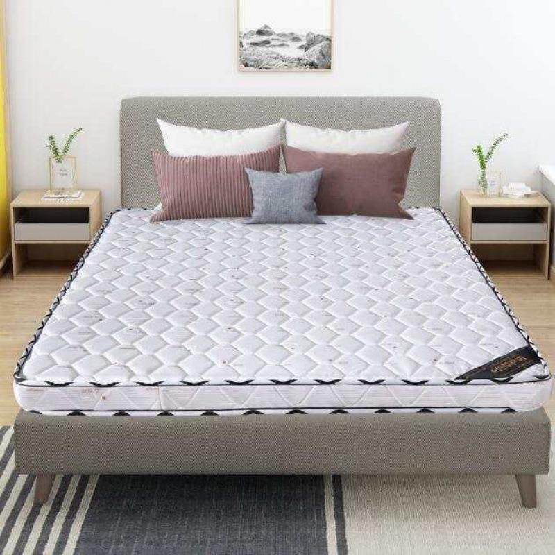 椰棕床垫硬棕榈床垫.18m/ZPV1.2榻m1.5m榻米折叠厂加厚垫工一件