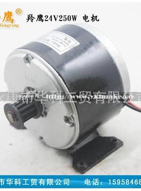 羚鹰小小豚迷你海电动滑板车电机12vMY101625w皮带轮车传动同步0