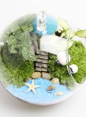 创礼品礼物苔藓微2景观套装意生态瓶材料包tz-201811cm圆底吊瓶