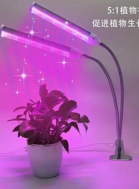 植物夹生长灯双循环定头时调光子灯UV光固PPJ化多肉育苗补灯
