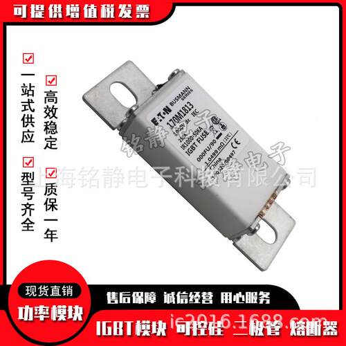10M1812170M181310M1241770M1825巴斯曼熔断器现7012货1780N1826