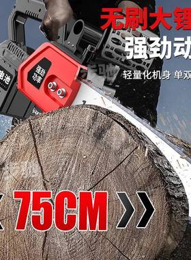 充电式21FFM/16电动锂电大锯家用电链锯功率木工伐寸木锯