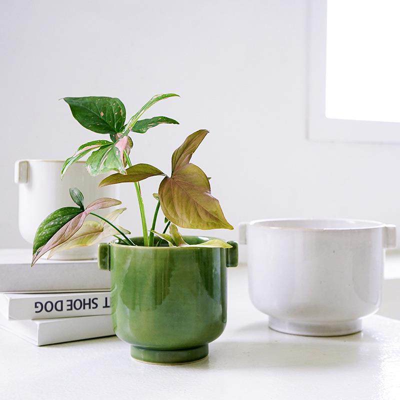 日简约桌面绿植盆器式红i双ns北欧个性网水培耳套盆绿萝HJD042SS