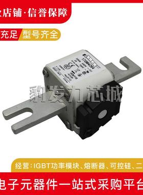 170M4313170M4314170M4315170M4316170M4317170M4318熔断器