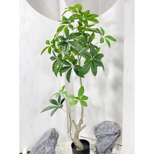 仿真绿植盆栽大叶伞客厅沙发旁植物装饰诧寂风轻奢假花树仿生绿植