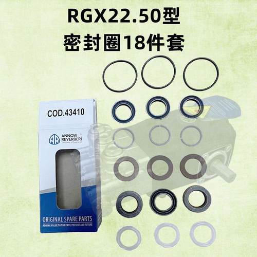 意大利AR进口500公斤RGX22.50N冲树皮除锈清洗用泵头主水封配件包