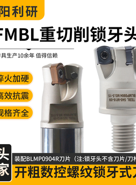 TFMBL数f控快进给锁牙头可换头BLMP0904通装双面铣刀片 重切削刀