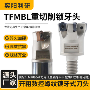 TFMBL数f控快进给锁牙头可换头BLMP0904通装双面铣刀片 重切削刀