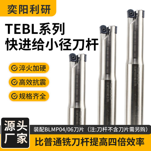 TEBL06/04快进给双面刀杆