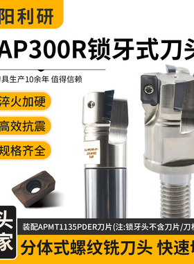 分体式BAP300R系列锁牙式铣刀头抗震刀杆锁牙头R0.8可换式头1135