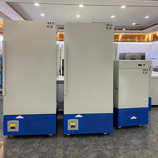 容量工业冰箱大超低验温试箱实室冷冻箱零下45验-60/8HTH-BX0度