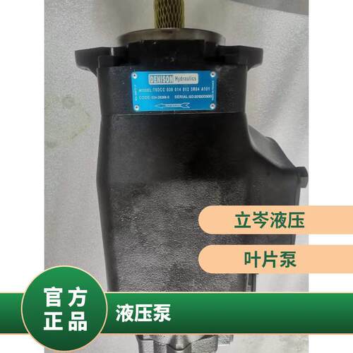 丹尼逊液压油泵T6E-062-1R00-A1定量叶片泵3525VQH35A19-1AA-22R