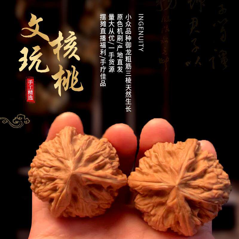 文玩核桃小众品种御龙粗筋三棱天然生长老树果上色快直发木艺