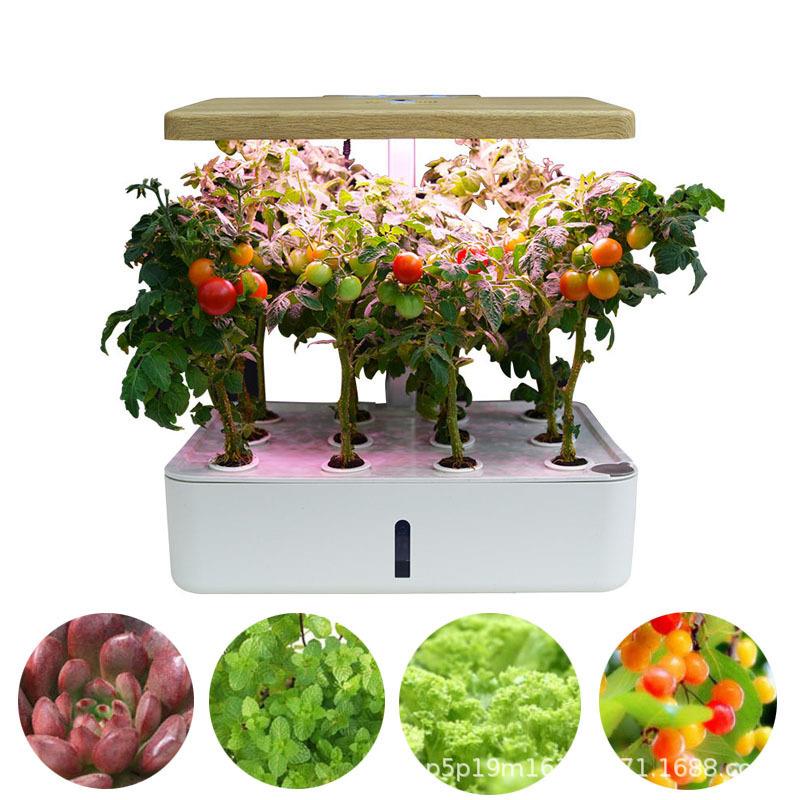 园艺室内无土栽培水培蔬菜智能植物育苗种菜种植箱花卉智能小花盆