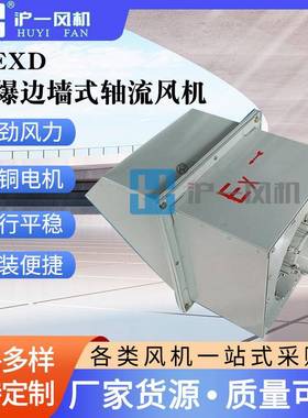 销售WEXD-300D4220V边墙式防爆轴流风机0.09KW防爆轴流风机