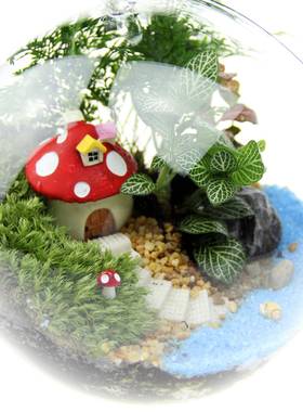 创tz-20181意礼品礼物苔微景观吊套装造景瓶藓材料包16平底瓶套装