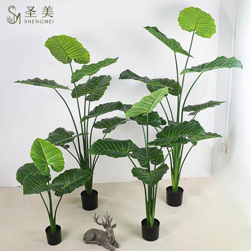 仿真滴SM-DSGY欧水音喜林室芋仙芋内装饰观造景盆栽工厂北龟背橱