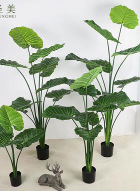 仿真滴SM-DSGY欧水音喜林室芋仙芋内装饰观造景盆栽工厂北龟背橱