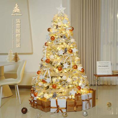 圣诞树装饰品发光77加i密ns场风家用圣诞节件套餐大小型摆diy景布