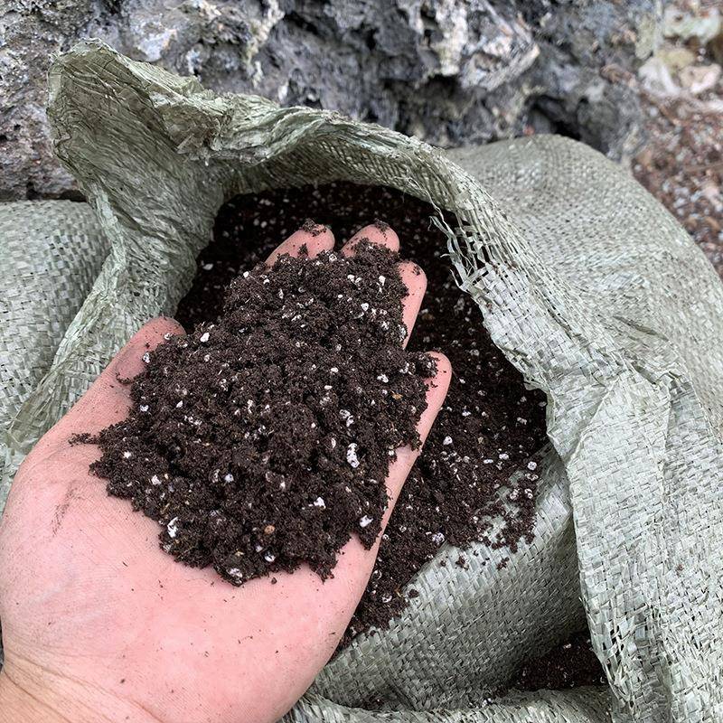 营土养花通用型多肉种多肉花养栽泥营养土50盆炭菜土50斤