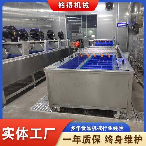 红薯去泥沙清洗机大型叶菜类气泡清洗机不伤物料叶菜类清洗设备