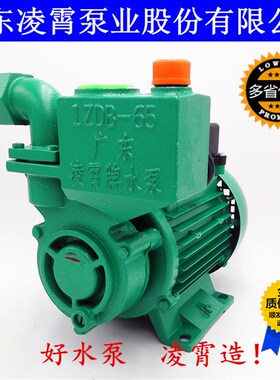 原装广东凌霄1ZDB-35/45/65 -B自吸清水泵家用自来水增压抽水机